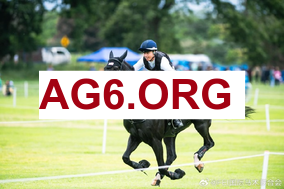 英超第25轮伯恩茅斯vs阿斯顿维拉全场比赛录像回放2026年2月8日